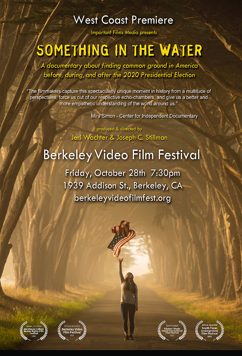 The Berkeley Video and Film Festival home page index picture